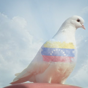 La Paz de los camioneros