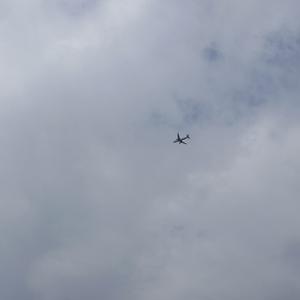 Angel！-pord:Ynjasper