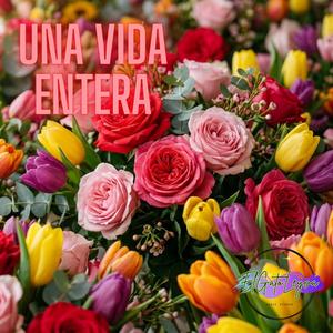 Una vida entera