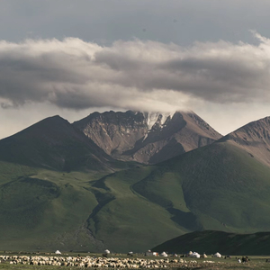 Southerly（纯享版-CashTrippy)