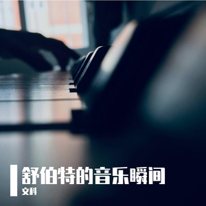 舒伯特-摇篮曲（Op.98 No.2 D.498 ）