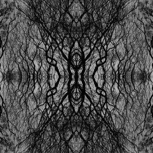 Elevated to the 20th Floor