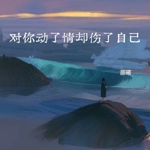 对你动了情却伤了自己