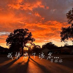 我快忘了该怎么笑 (Cover 王佳音)