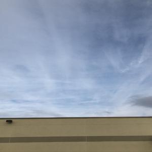 Anthem for a Lonely Alpha Male