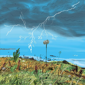 Rannikul / On the Coast