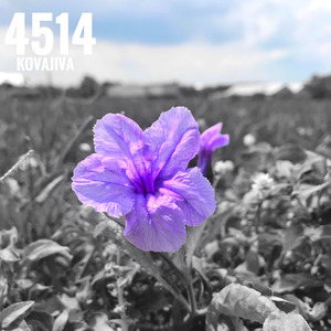 4514 (Remastered 2022)