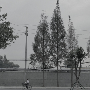 无所事事的孩子