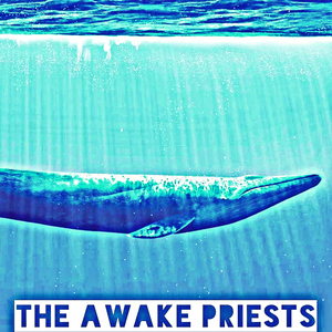 The Awake Priests