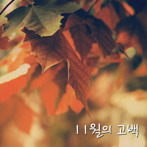 땅파두 (땅 파고 나온 두더지)