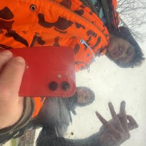 Sponsbob (feat. heydexter)