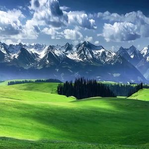 你的感情里掺了水