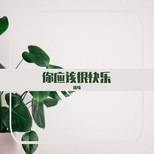 你应该很快乐（烟嗓版）