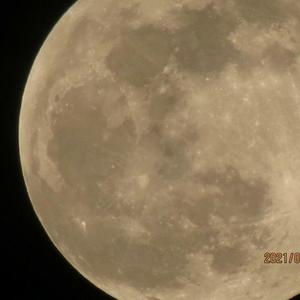 还是觉得你最好（男声）