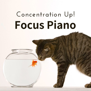 Success That Is Sky High