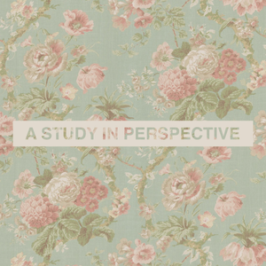 A Study in Perspective (SoulSilver Version)