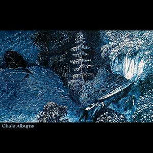 Snowfields