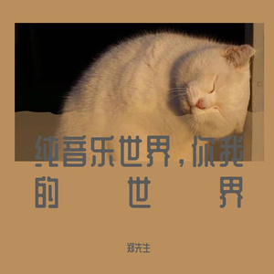 失眠小曲