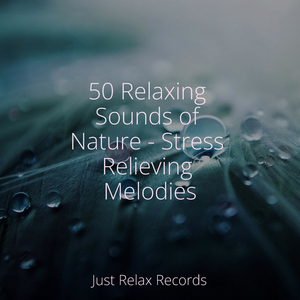 Echoes of Savage Beats