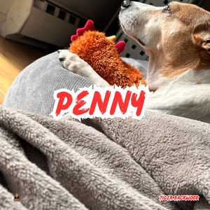 Penny (Instrumental)
