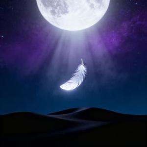 To the Moonlight