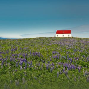 魔抗（prod by No Birthday）