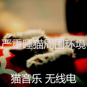 抚慰的睡猫回忆