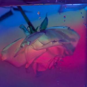 甜蓝裙（Prod by Furyl）