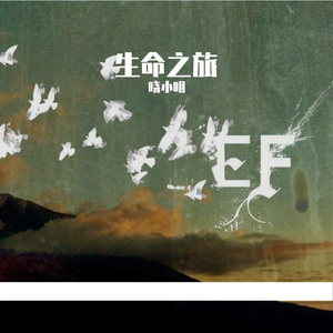 那些年追过的剧