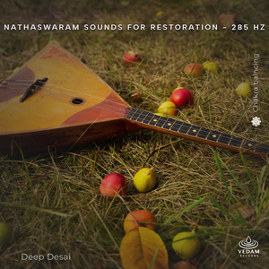 Nathaswaram Sounds for Restoration - 285 Hz
