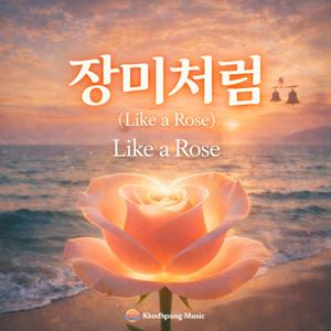장미처럼 (Like a Rose)