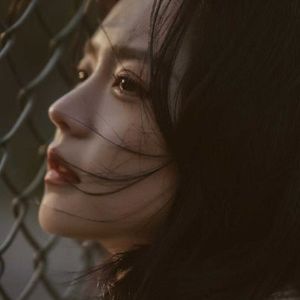 风里轻拂的梦幻之境