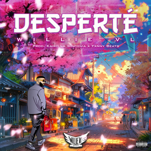 Desperté