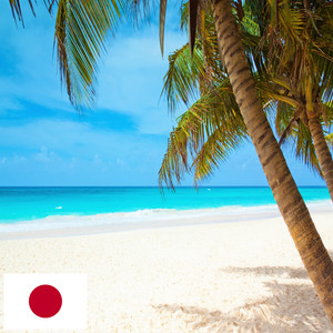 熱帯の浜辺の波と鳥