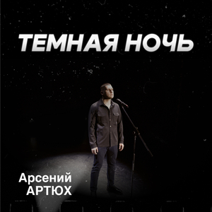 Тёмная ночь