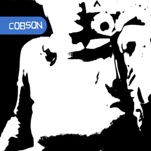 C8H11n