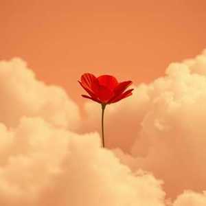 送你一朵小红花