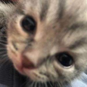 BANYAK (Chochik Remix)