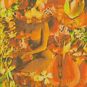 Sábado (feat. Dani Gaytan)