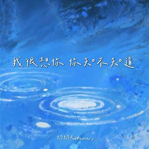 我很想你 你知不知道