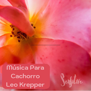 A Lost Kid Find His Mom