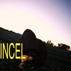 All The Things She Said (INCEL)