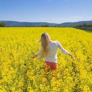 Twilight Ushers in Respite