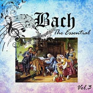 Cello Suite No.1 in G Major, BWV 1007: VI. Gigue
