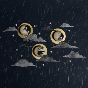 雙月亮 (Acoustic)