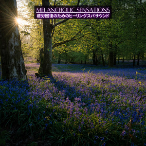 Starlight Caress at Dusk