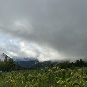 晨光晚霞里的我们