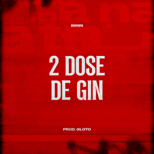 2 Dose de Gin