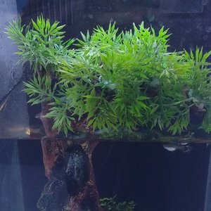 爱一个人是怎样