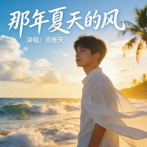 那年夏天的风